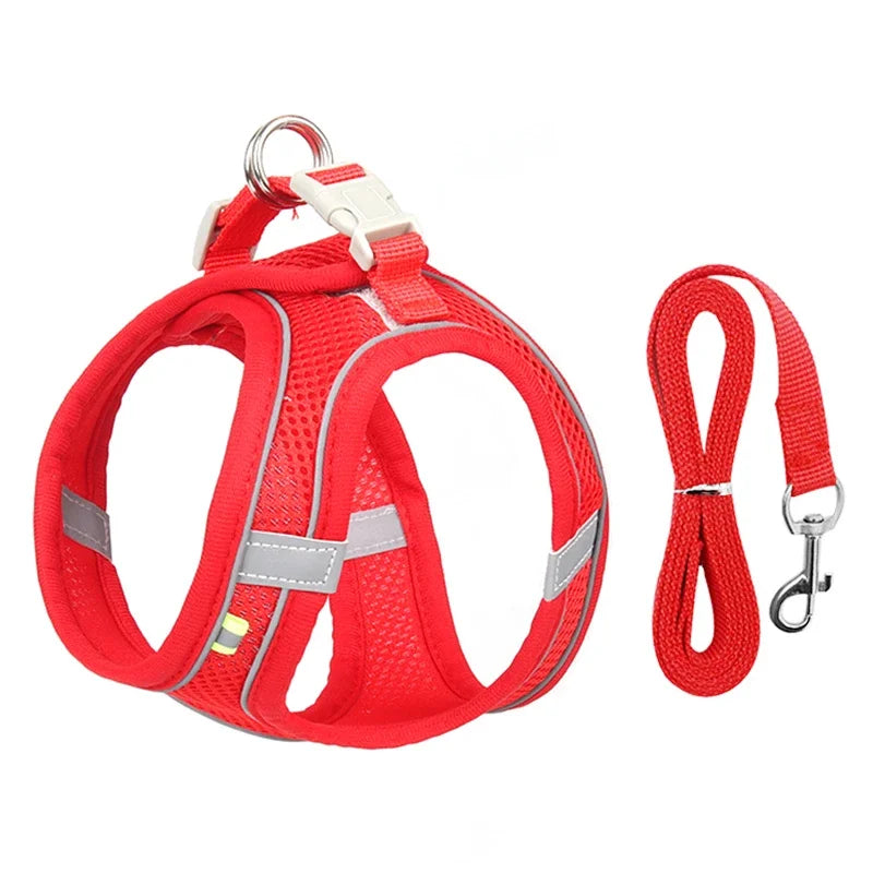 Arnés ajustable con correa y collar
