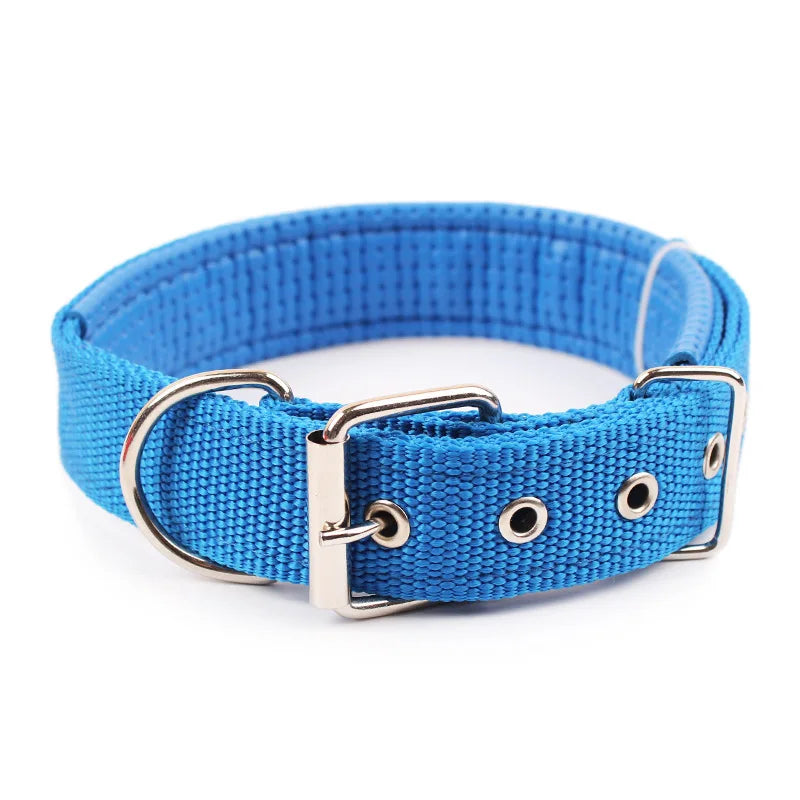 Collar de nailon para perros pequeños, medianos y grandes