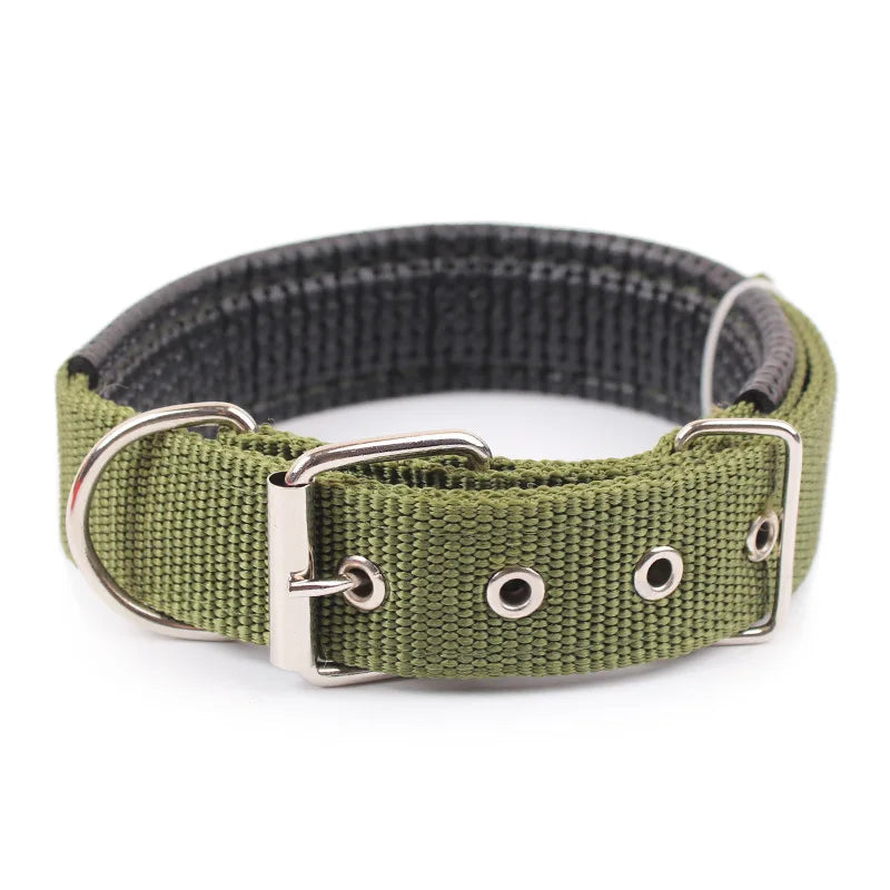 Collar de nailon para perros pequeños, medianos y grandes