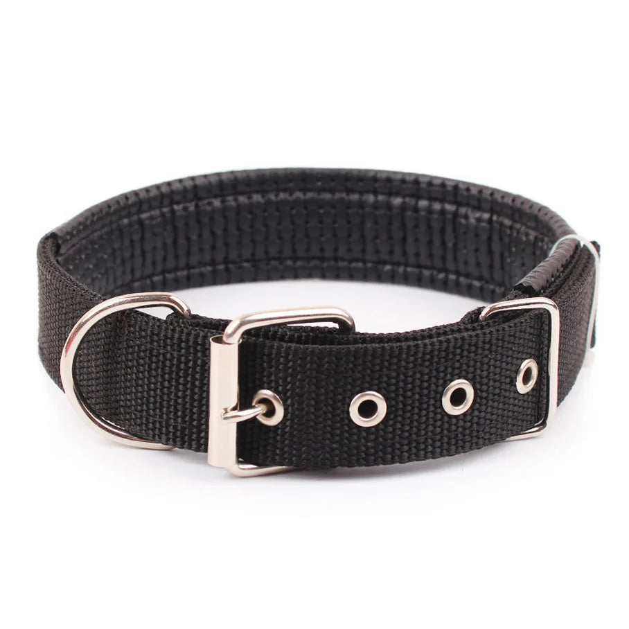 Collar de nailon para perros pequeños, medianos y grandes
