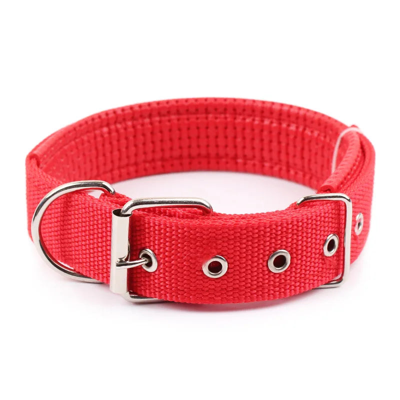 Collar de nailon para perros pequeños, medianos y grandes