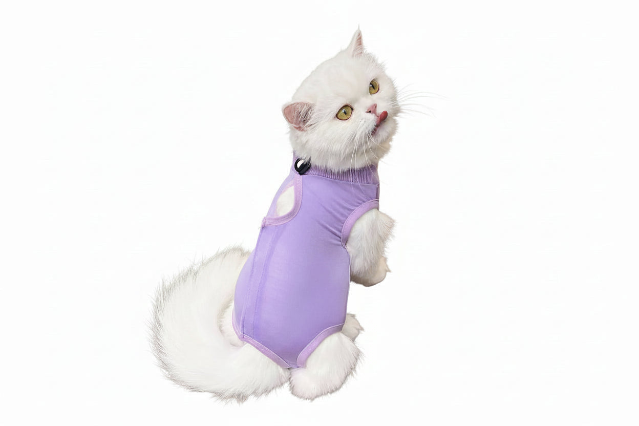 Ropa para gatos y perros pequeños