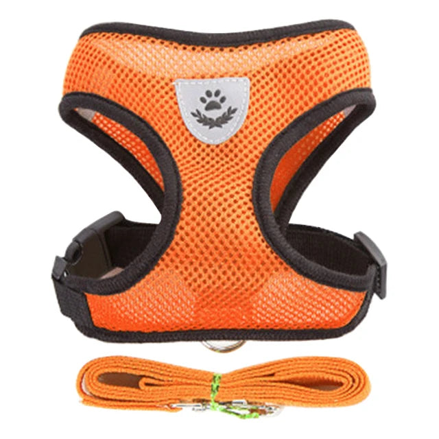 Dog harness for small dogs and cats
