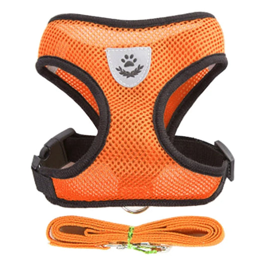 Harnais pour chiens et chats de petite taille