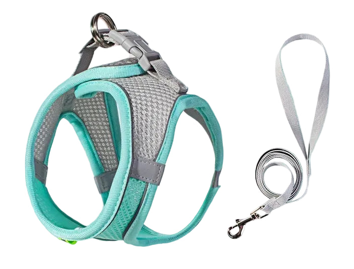 Verstellbare Geschirrweste mit Halsband und Leine