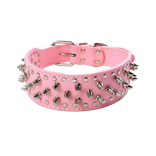Collier de chien clouté