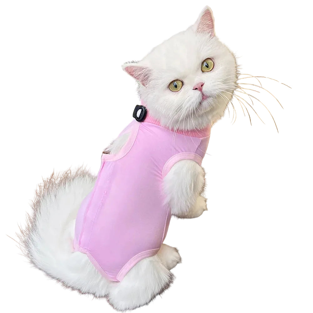 Ropa para gatos y perros pequeños
