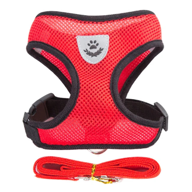 Dog harness for small dogs and cats