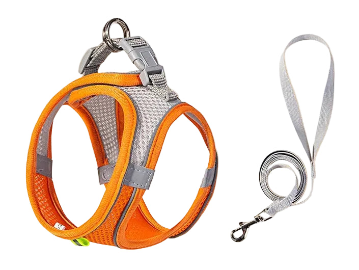 Verstellbare Geschirrweste mit Halsband und Leine
