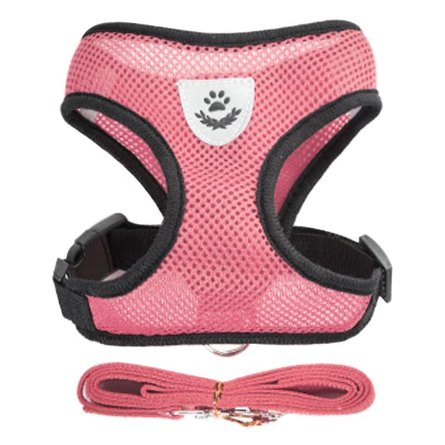 Dog harness for small dogs and cats