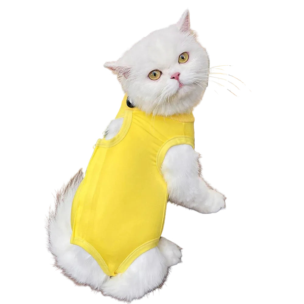 Ropa para gatos y perros pequeños