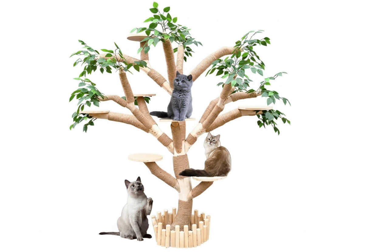 Indoor-Katzenbaum