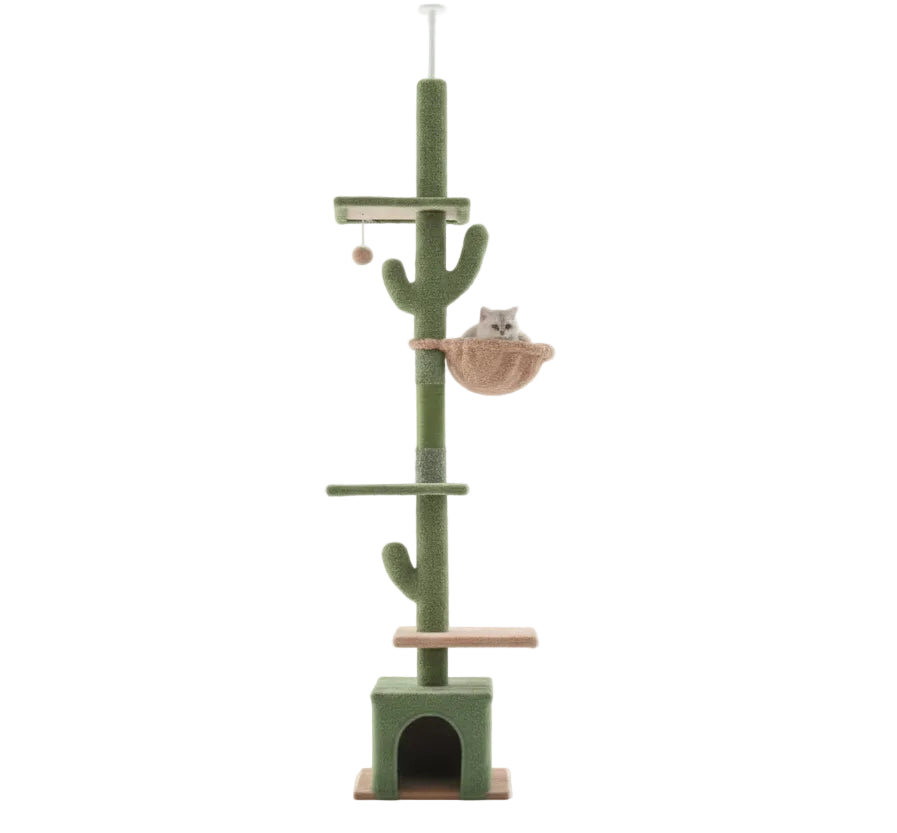 Escalador de cactus