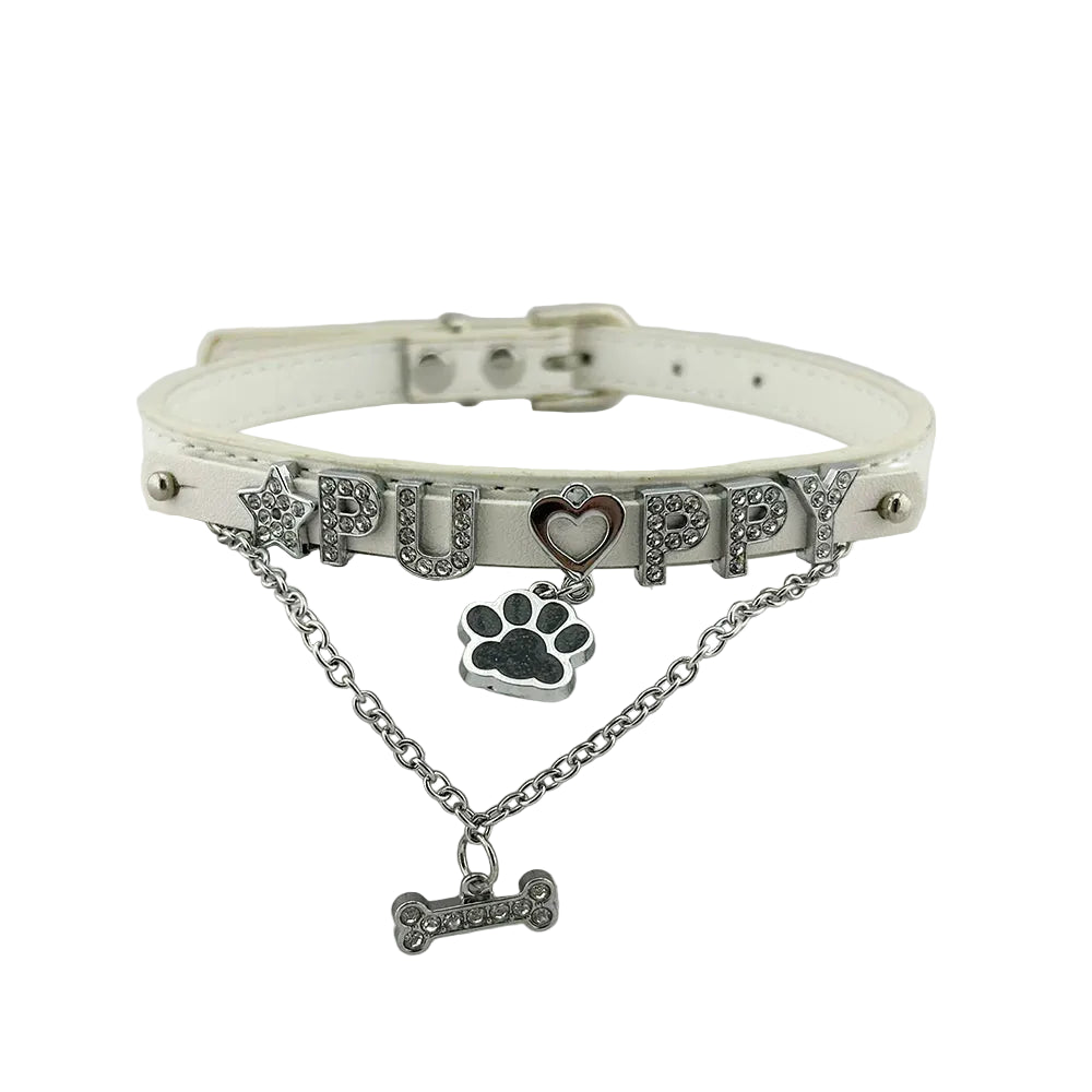 Collar para cachorros