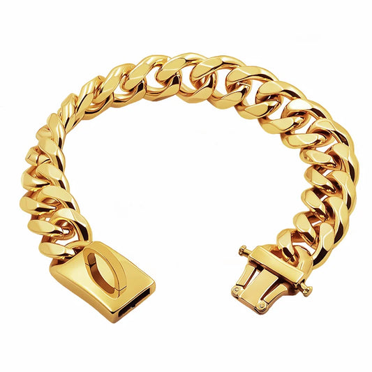 Collier pour chiens en acier inoxydable doré